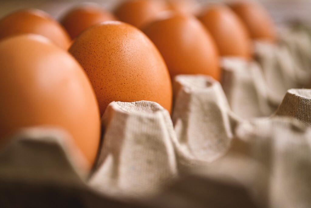 Œufs (boîtes de 6 pièces)