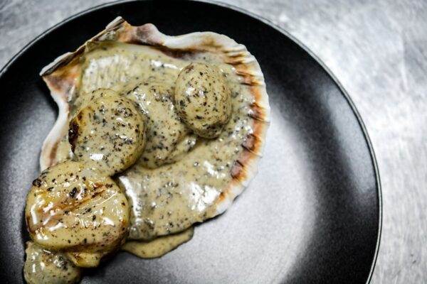 Coquille St Jacques à la Normande